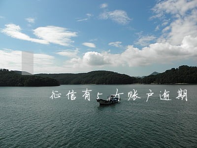 征信有5个账户逾期 征信有5个账户逾期