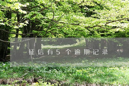 征信有5个逾期记录 征信有5个逾期记录