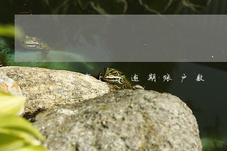 征信有5个逾期账户数 征信有5个逾期账户数