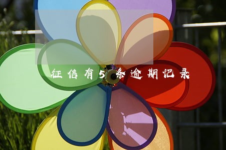 征信有5条逾期记录 征信有5条逾期记录