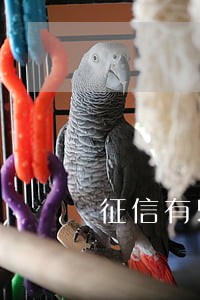 征信有5条逾期记录房贷 征信有5条逾期记录房贷