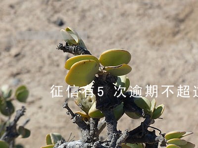 征信有5次逾期不超过90天的 征信有5次逾期不超过90天的
