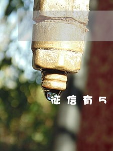 征信有5次逾期办理公积金吗 征信有5次逾期办理公积金吗
