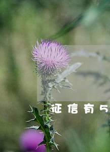 征信有5次逾期可以买车吗
