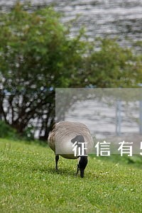 征信有5次逾期影响房贷吗 征信有5次逾期影响房贷吗