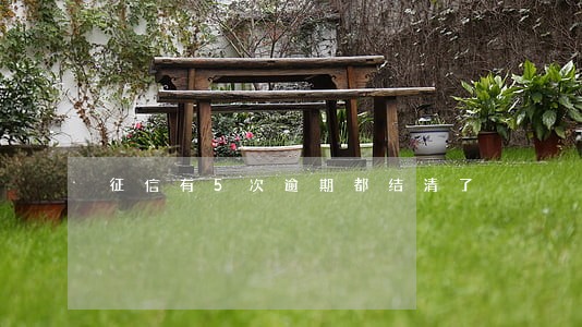 征信有5次逾期都结清了 征信有5次逾期都结清了