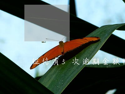 征信有5次逾期金额特别小 征信有5次逾期金额特别小