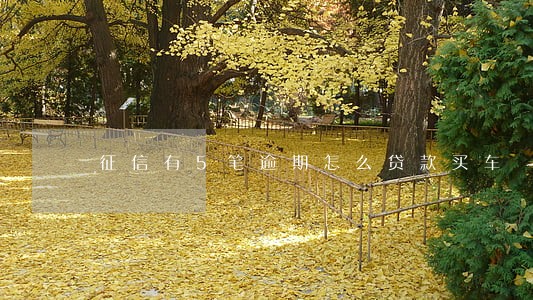 征信有5笔逾期怎么贷款买车 征信有5笔逾期怎么贷款买车