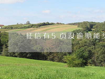 征信有5页没逾期能买房吗 征信有5页没逾期能买房吗