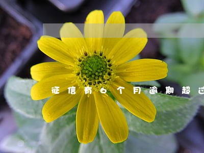 征信有6个月逾期超过90天
