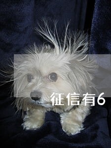 征信有6次信用卡逾期 征信有6次信用卡逾期