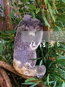 征信有6次网贷逾期记录 征信有6次网贷逾期记录