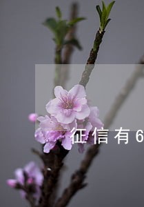 征信有6次逾期信用社能贷吗 征信有6次逾期信用社能贷吗