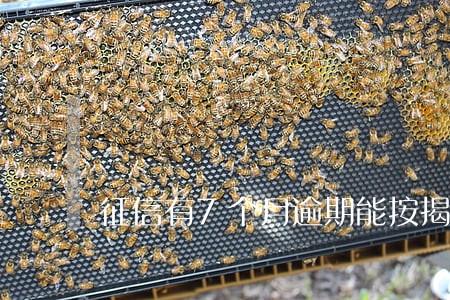 征信有7个月逾期能按揭买车吗 征信有7个月逾期能按揭买车吗