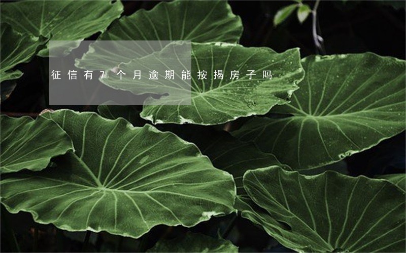 征信有7个月逾期能按揭房子吗 征信有7个月逾期能按揭房子吗
