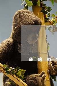 征信有7次逾期可以办信用卡吗