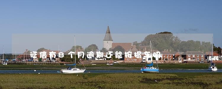 征信有8个月逾期还能按揭车吗 征信有8个月逾期还能按揭车吗