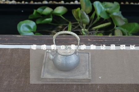 征信有8条逾期记录可以买车吗