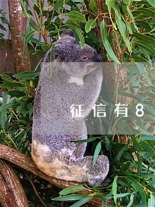 征信有8次逾期没超过90天 征信有8次逾期没超过90天