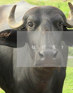 征信有900块的逾期能买车吗 征信有900块的逾期能买车吗