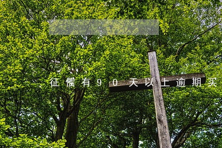 征信有90天以上逾期买房子 征信有90天以上逾期买房子