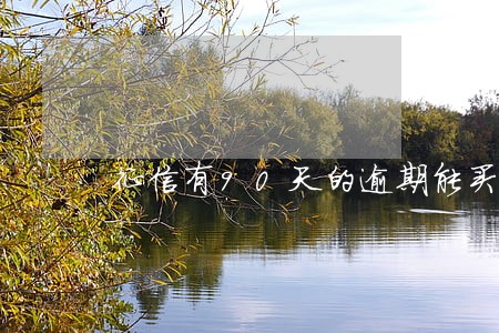 征信有90天的逾期能买车吗 征信有90天的逾期能买车吗