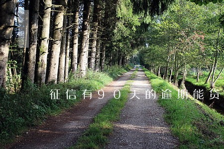征信有90天的逾期能贷款么