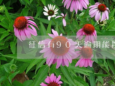 征信有90天逾期能按揭车子吗 征信有90天逾期能按揭车子吗