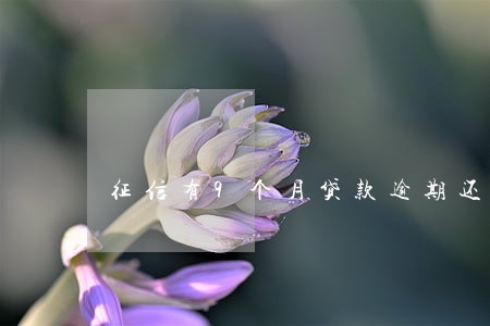 征信有9个月贷款逾期还清了 征信有9个月贷款逾期还清了
