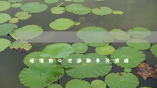 征信有9次逾期多久消除 征信有9次逾期多久消除
