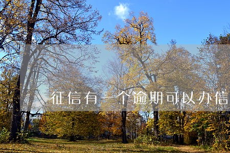 征信有一个逾期可以办信用卡吗