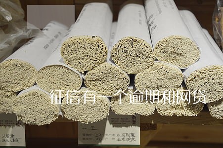 征信有一个逾期和网贷 征信有一个逾期和网贷