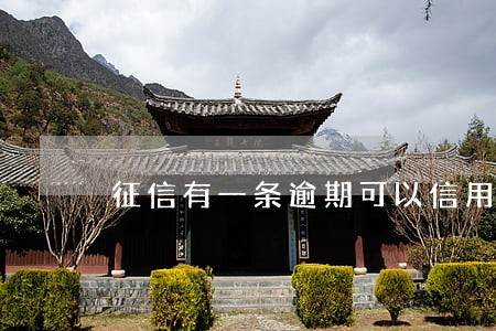 征信有一条逾期可以信用卡吗 征信有一条逾期可以信用卡吗
