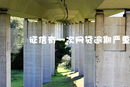 征信有一次网贷逾期严重吗 征信有一次网贷逾期严重吗