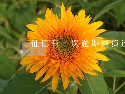 征信有一次逾期网贷还能用吗 征信有一次逾期网贷还能用吗