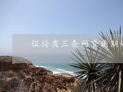 征信有三条网贷逾期记录