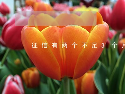 征信有两个不足3个月的逾期 征信有两个不足3个月的逾期