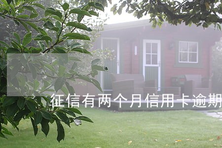 征信有两个月信用卡逾期 征信有两个月信用卡逾期