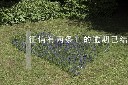 征信有两条1的逾期已结清 征信有两条1的逾期已结清