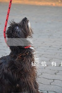 征信有两次逾期还可以办信用卡吗 征信有两次逾期还可以办信用卡吗