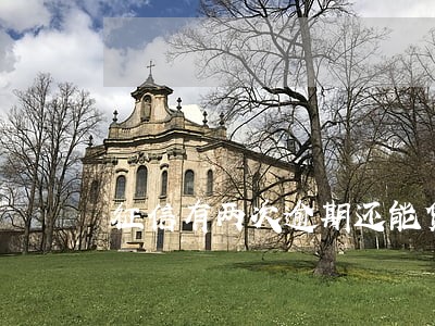 征信有两次逾期还能贷款吗 征信有两次逾期还能贷款吗