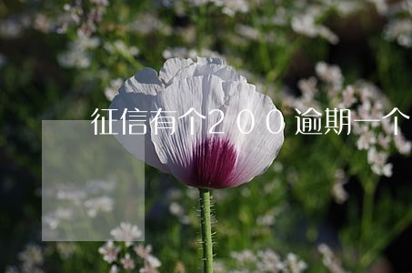征信有个200逾期一个月 征信有个200逾期一个月