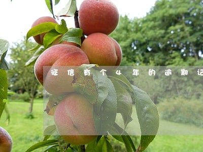 征信有个4年的逾期记录 征信有个4年的逾期记录