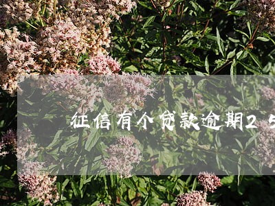 征信有个贷款逾期25个月 征信有个贷款逾期25个月
