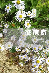 征信有个逾期记录3年了 征信有个逾期记录3年了