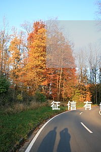 征信有信用卡7次逾期记录 征信有信用卡7次逾期记录