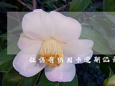 征信有信用卡逾期记录办车贷 征信有信用卡逾期记录办车贷