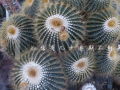 征信有几次逾期不能买房贷款 征信有几次逾期不能买房贷款