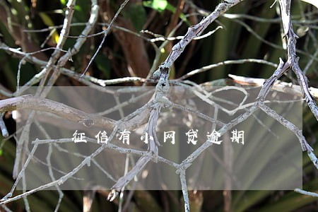征信有小网贷逾期 征信有小网贷逾期
