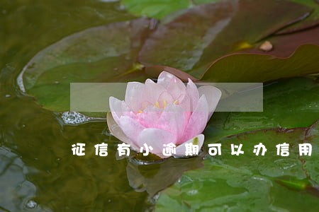 征信有小逾期可以办信用卡吗 征信有小逾期可以办信用卡吗